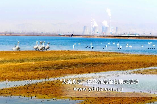 ���������������B(t��i)�ޏ�(f��)�٬F(xi��n)�B(ni��o)�(l��)�@