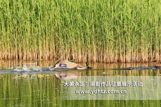 ���������������B(t��i)�ޏ�(f��)�٬F(xi��n)�B(ni��o)�(l��)�@