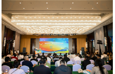 �����Ј����ʮa�N����  �������rƷ��������L�����M�ӱ�