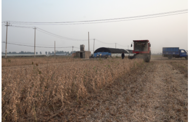 ޻�ǅ^(q��)�r(n��ng)�I(y��)�r(n��ng)��������r(n��ng)��ƌW(xu��)�Nֲ������푡�����38���S�𶹷N��Ʒ��