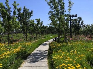 ���@ô�ᣬȥ����˛���������Ȼ���@ô�����M��ȥ̎��