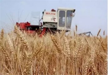 �_��ˣ����������ӵĈ�(ch��ng)����Ҳ�����@ô����