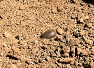 �A���@��˯�����ɏ����(f��)�ʢ�_(k��i)