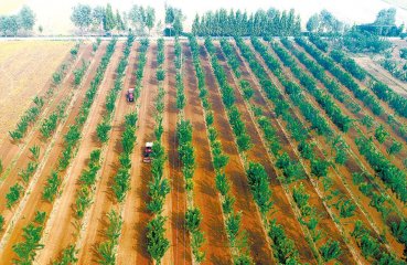 �ﲥ��N�����r �r(n��ng)��ʩ�ʲ��Næ