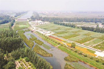 �l�l�������岨 ��������չ���