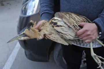 ���B����ӱ������r���ҫ@����