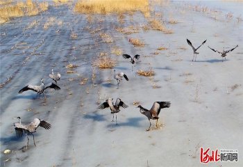 �ӱ��с�(l��i)�󺮕r(sh��)��(ji��)���Q�����]