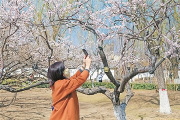 �����Έ@ ������Ȼ