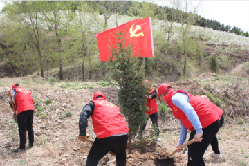 �е����ĵ����l(xi��ng)�_չ���W(xu��)�hʷ �k���¡��x��(w��)ֲ�����}�h�ջ��