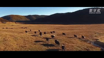 �o�Ƭح��Ҋ����