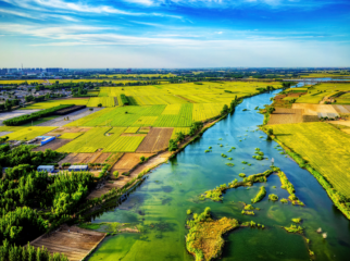 һ����ˮ���ų� ������Gչ���