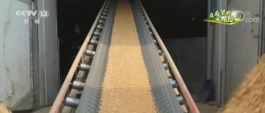 ������Z���� | ���ڙC(j��)��(g��u)��벢�e �������Օr��(ji��)�����X�ռZ���w��