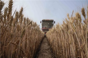 �ӱ��������æ