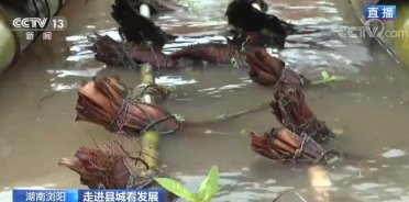 ���M�h�ǿ��l(f��)չ | ɽˮ�gꖡ�����gꖎ��o�˂��M�M�Ҹ���