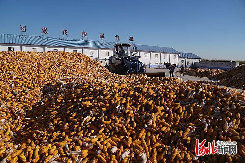 1665652536938248.jpg 邢臺2.jpg