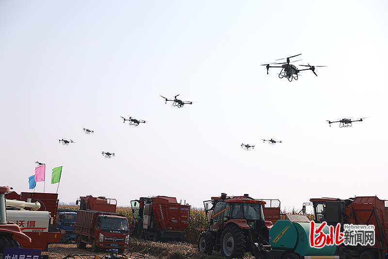 1666337095681217.jpg 邢臺(tái)3.jpg