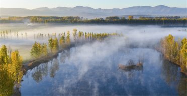 Ԋ���Ї�������ɫ�B�������Ϻ�����