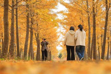 �ӱ�ɳ�ӣ��f(w��n)���y�ӡ�ʢ�b��ӭ��