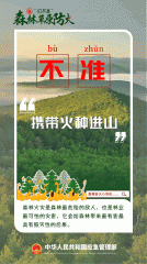 ��������ɭ�ֻ��(z��i)����ʮ����(zh��n)��Ҫ��ӛ��