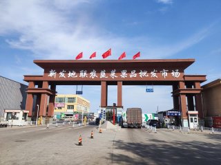 �����°l(f��)��(li��n)�r(n��ng)���l(f��)�Ј���������(w��)��(y��u)�h(hu��n)�� �к�Ⱥ�����˻@�ӡ�