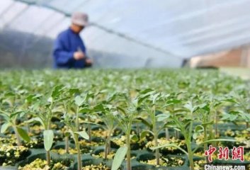 �Ƽ���(qi��ng)�������ӱ��C��ӆ������æ